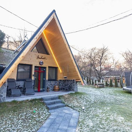 Pensiunea Casa Iulia A-Frame Martinie المظهر الخارجي الصورة